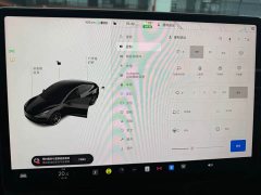 Tesla Model 3 2022 Rear-Wheel Drive - ფოტო 6