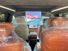 Buick Zhijing Shijia Luxury Edition - ფოტო 18