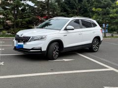 Skoda Comic 1.5L Automatic Comfort Edition - ფოტო 1