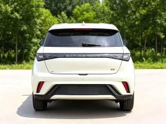 BYD Dolphin 420km Freedom Edition - ფოტო 12