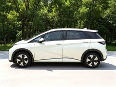 BYD Dolphin 420km Freedom Edition - ფოტო 15