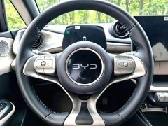 BYD Dolphin 420km Freedom Edition - ფოტო 9
