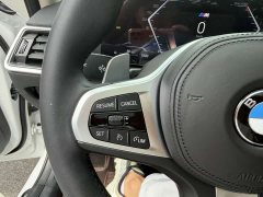BMW 3 Series 320Li M Sport Package - ფოტო 13