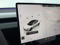 Tesla Model 3 2023 Rear-Wheel Drive - ფოტო 10