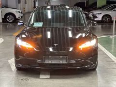 Tesla Model 3 2023 Rear-Wheel Drive - ფოტო 2