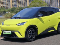 BYD Seagull Freedom Edition - ფოტო 1