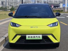 BYD Seagull Freedom Edition - ფოტო 2