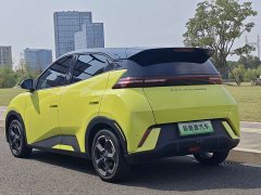 BYD Seagull Freedom Edition - ფოტო 8