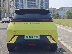 BYD Seagull Freedom Edition - ფოტო 9