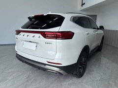 Haval H6 2021 National Trend Edition 1.5T Automatic Urban Version - ფოტო 6