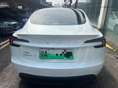 Tesla Model 3 Rear-Wheel Drive - ფოტო 15