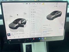 Tesla Model 3 Rear-Wheel Drive - ფოტო 6