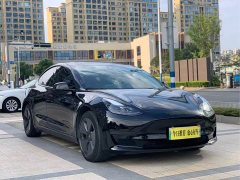 Tesla Model 3 2021 Standard Range RWD Upgrade - ფოტო 2