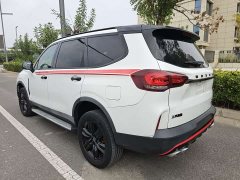 SAIC Maxus D90 Pro 2021 2.0T Diesel 4WD Lop Nur Edition 7-Seater - ფოტო 4
