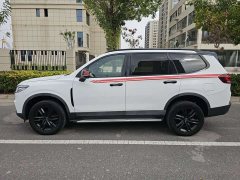 SAIC Maxus D90 Pro 2021 2.0T Diesel 4WD Lop Nur Edition 7-Seater - ფოტო 7