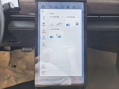 XPeng P5 2021 460G - ფოტო 10