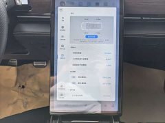 XPeng P5 2021 460G - ფოტო 11