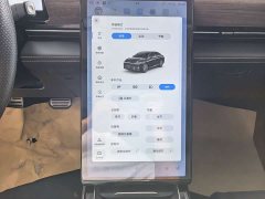 XPeng P5 2021 460G - ფოტო 8