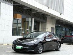 Tesla Model 3 Standard Range RWD Upgrade - ფოტო 1