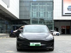Tesla Model 3 Standard Range RWD Upgrade - ფოტო 2