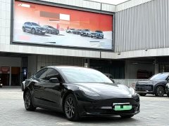 Tesla Model 3 Standard Range RWD Upgrade - ფოტო 3