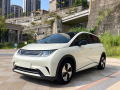 BYD Dolphin 420km Freedom Edition - ფოტო 1