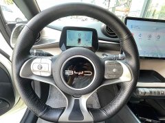 BYD Dolphin 420km Freedom Edition - ფოტო 10