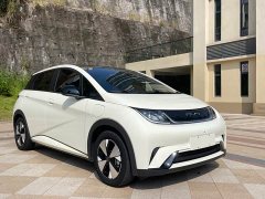 BYD Dolphin 420km Freedom Edition - ფოტო 2