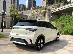 BYD Dolphin 420km Freedom Edition - ფოტო 7