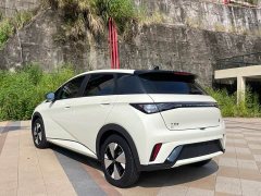 BYD Dolphin 420km Freedom Edition - ფოტო 9