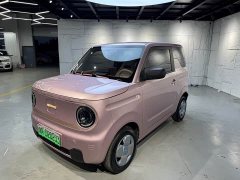 Geely Panda 2023 Panda Mini 200km Endurance Edition - ფოტო 1