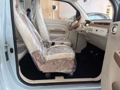 FAW Besturn Xiaoma 222km Auspicious Edition - ფოტო 10