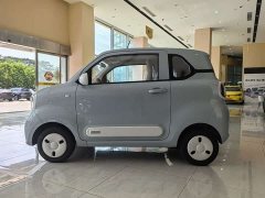 FAW Besturn Xiaoma 222km Auspicious Edition - ფოტო 2