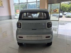 FAW Besturn Xiaoma 222km Auspicious Edition - ფოტო 4