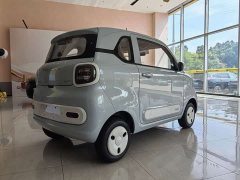 FAW Besturn Xiaoma 222km Auspicious Edition - ფოტო 5