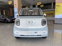 FAW Besturn Xiaoma 222km Auspicious Edition - ფოტო 8