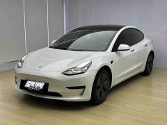 Tesla Model 3 Standard Range RWD Upgrade - ფოტო 1