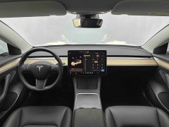 Tesla Model 3 Standard Range RWD Upgrade - ფოტო 11