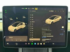Tesla Model 3 Standard Range RWD Upgrade - ფოტო 13