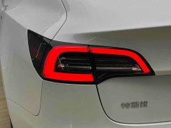 Tesla Model 3 Standard Range RWD Upgrade - ფოტო 16