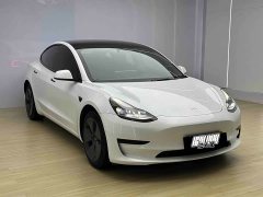 Tesla Model 3 Standard Range RWD Upgrade - ფოტო 3