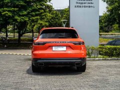 Porsche 2019 Cayenne 3.0T - ფოტო 16