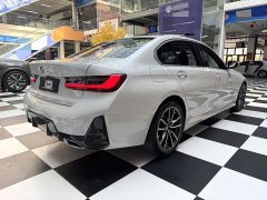BMW 3 Series 320Li M Sport Package - ფოტო 19