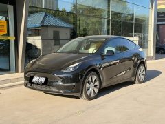 Tesla Model Y 2022 Long Range All-Wheel Drive - ფოტო 1