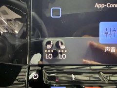 Volkswagen Golf 2023 280TSI DSG R-Line Lite - ფოტო 16