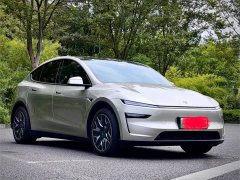 Tesla Model Y L 2025 Long Range All-Wheel Drive - ფოტო 3