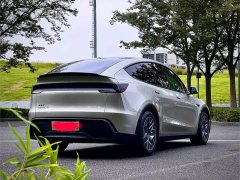 Tesla Model Y L 2025 Long Range All-Wheel Drive - ფოტო 4