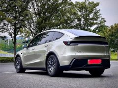 Tesla Model Y L 2025 Long Range All-Wheel Drive - ფოტო 6