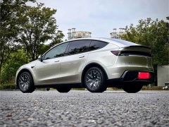 Tesla Model Y L 2025 Long Range All-Wheel Drive - ფოტო 7