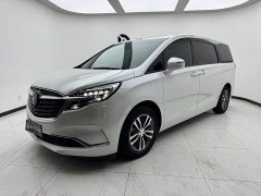 Buick GL8 ES Land Respect 653T Respect Enjoyment Edition - ფოტო 1